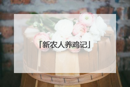 新农人养鸡记